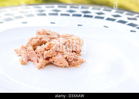 tuna flakes in oil on a white plate Stock Photo