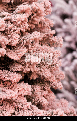 Flocked Christmas Tree with multi colors. Stock Photo