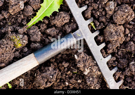 Closeup of rake lying on the ground Stock Photo