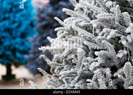 Flocked Christmas Tree with multi colors. Stock Photo