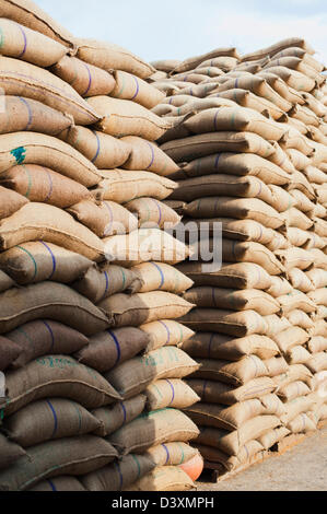 Stacks of wheat sacks in a warehouse, Anaj Mandi, Sohna, Gurgaon, Haryana, India Stock Photo