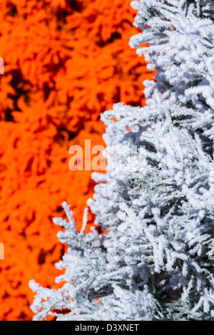 Flocked Christmas Tree with multi colors. Stock Photo