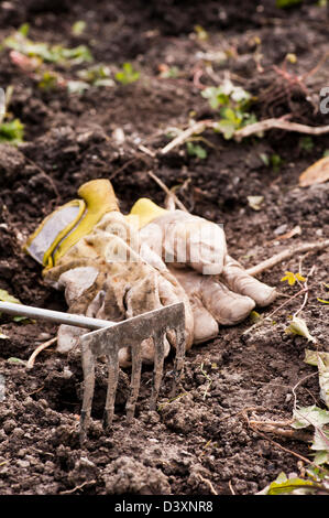 Gardening equipment, small rake and working gloves lying on the soil Stock Photo