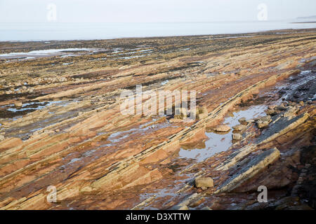 Rocky wave cut platform exposed at low tide, Watchet, Somerset, England Stock Photo