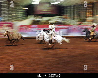 Mexico, Jalisco,Guadalajara, Mexican charro participating in charreadas, a type of rodeo Stock Photo