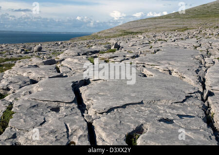 Limestone Pavements, The Burren, Co Clare, West Coast of Ireland Stock Photo