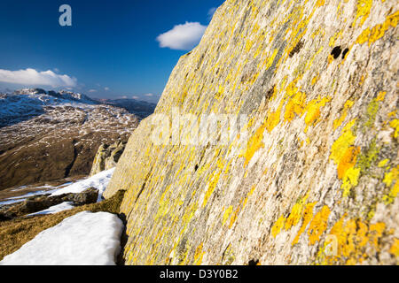 Lichen covered rocks on Great Carrs above Wrynose in the Lake District, Cumbria, UK, Stock Photo