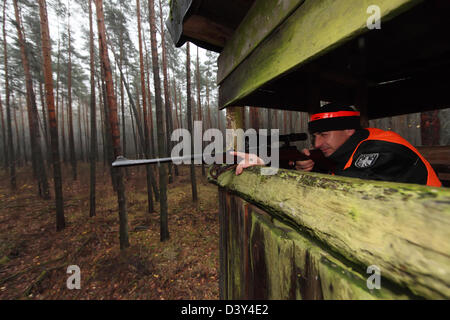 Lehnitz, Germany, Foerster focuses on a high seat in the Wild Stock Photo