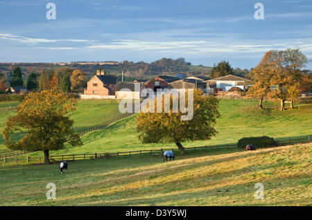 Gentle rolling hills and farmland of rural Cannock Wood Village Cannock Chase Area of Oustanding Natural Beauty in Autumn Staffo Stock Photo