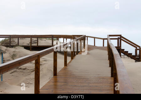 Walking paths taking you to the beach Stock Photo