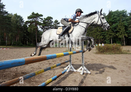 Menz, Germany, rider and horse jumping over an obstacle Stock Photo