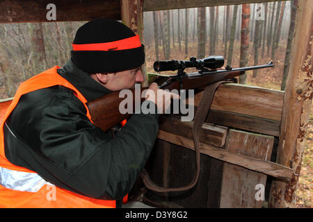 Lehnitz, Germany, Foerster focuses on a high seat in the Wild Stock Photo