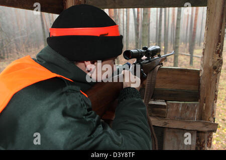 Lehnitz, Germany, Foerster focuses on a high seat in the Wild Stock Photo