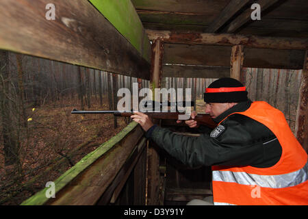 Lehnitz, Germany, Foerster focuses on a high seat in the Wild Stock Photo