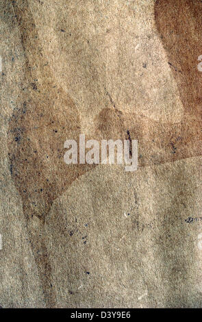 Old brown papyrus texture isolated on white background Stock Photo - Alamy