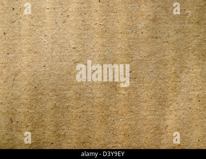 Old brown papyrus texture isolated on white background. Banner ...
