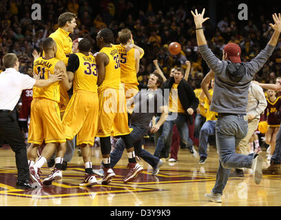 Minneapolis, USA. 26th February 2013. Minnesota Gophers forward Rodney Williams Jr. (33), forward Trevor Mbakwe (32) and guard Joe Coleman (11) celebrate with teammates as fans rush the court after the Gophers defeated the number one ranked Indiana Hoosiers 77 - 73 at Williams Arena in Minneapolis, Minnesota.  Credit:  Cal Sport Media / Alamy Live News Stock Photo