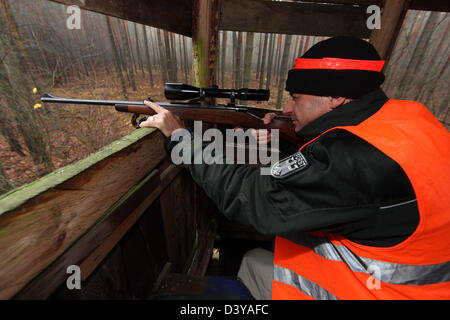 Lehnitz, Germany, Foerster focuses on a high seat in the Wild Stock Photo