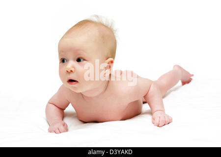 Bright picture of crawling baby  Stock Photo