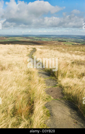 The Pennine Way as it crosses Haworth Moor near Top Withins Stock Photo
