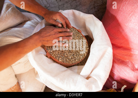 Green coffee beans in a sack being taken to be roasted in Miraflores in the coffee growing highlands of Nicaragua Stock Photo