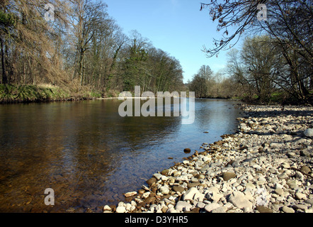 A view of the river Ure flowing through Hackfall Woods on the eastern ...