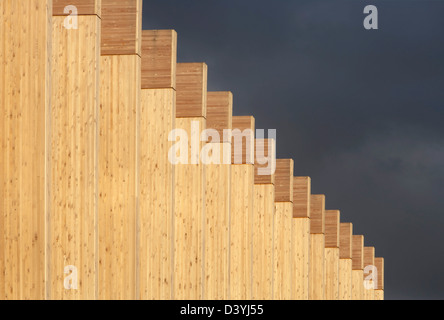 Bournville College, Birmingham, United Kingdom. Architect: Broadway Malyan Limited, 2011. Graphics of timber beams. Stock Photo