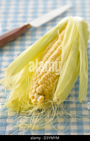 Corn on the Cob Stock Photo