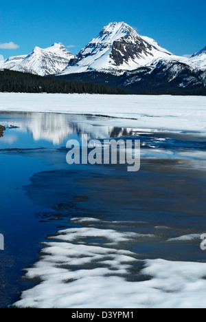 snow and ice melting at the shore of ice-covered Bow Lake in spring, Mt. Hector and Bow Peak in the distance Stock Photo