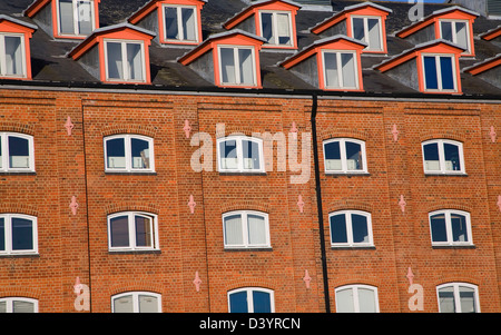 Windows of offices in converted industrial building, Felaw Maltings, Ipswich, Suffolk, England Stock Photo