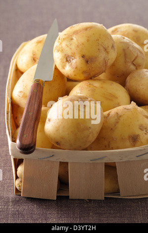 Basket of Potatoes with Knife Stock Photo