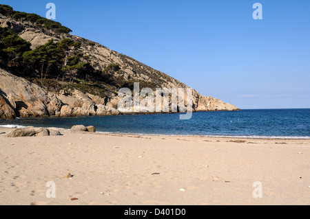 Italy Tuscany Montecristo island  Cala Maestra Tuscan   Archipelago national park Stock Photo