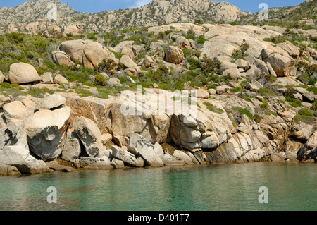 Italy Tuscany Montecristo Island cala mendolina Tuscan Archipelago national park Stock Photo