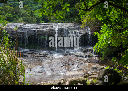 Waterfall in a Tropical Rainforest, Iriomote Island, Okinawa Prefecture, Japan. Stock Photo