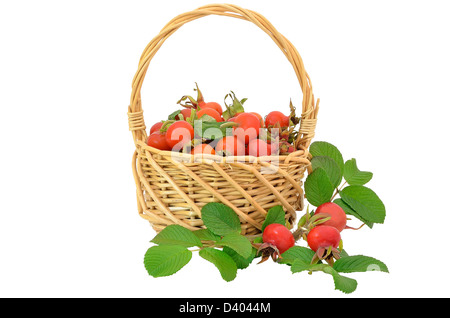 Rose hips in the wicker basket isolated on white background Stock Photo