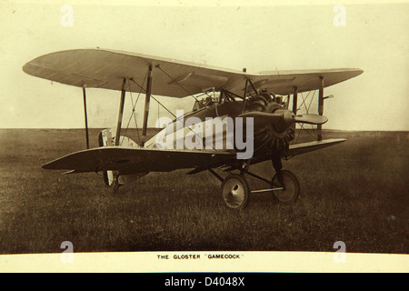 The Gloster Gamecock was a British biplane fighter aircraft designed in ...