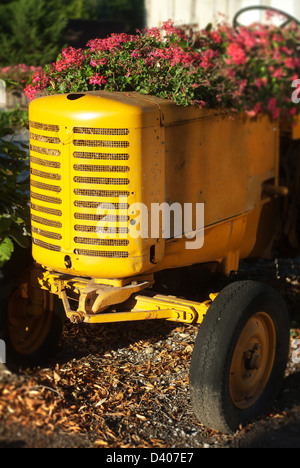 Old yellow tractor planted with pink geraniums, Cazals, France Stock Photo