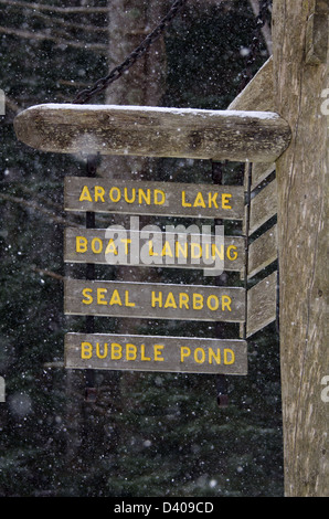 Snow falling on a signpost, Acadia National Park, Maine. Stock Photo