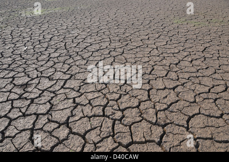 Dry land in South India Stock Photo