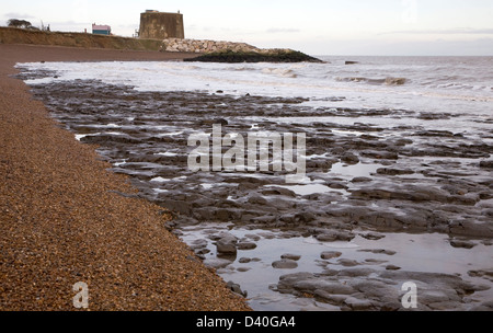 London Clay wave cut platform exposed at low tide on the beach at East Lane, Bawdsey, Suffolk, England Stock Photo