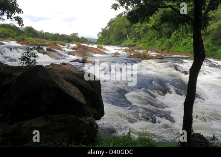 Vazhachal, falls, Kerala, India Stock Photo