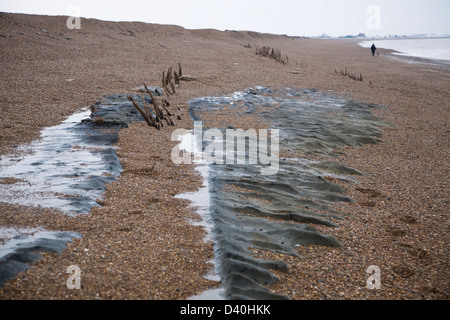 Mysterious lines wooden stakes exposed by fall in beach level possibly historic coastal defences, Bawdsey, Suffolk, England Stock Photo