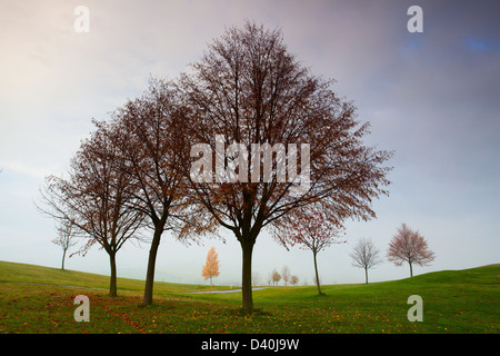 On the empty golf course in autumn Stock Photo