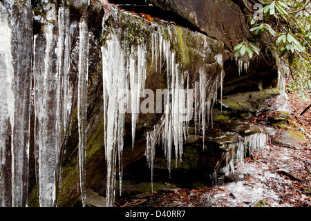 Icicles Hanging from cave near Cedar Rock Falls - Pisgah National Forest - near Brevard, North Carolina USA Stock Photo