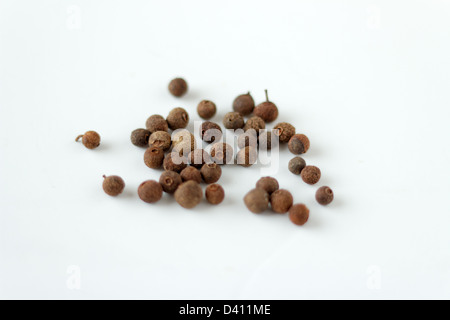 Allspice or Jamaica pepper berries on a white background. Stock Photo