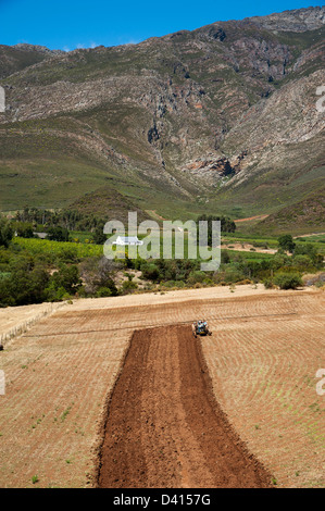 Farming industry South Africa ploughing a field close to Montagu Western Cape Stock Photo