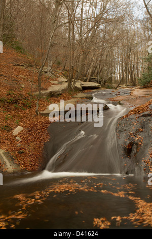 Autumn in the forest with a river Stock Photo