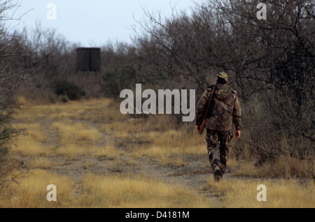 South Texas deer hunter in camouflage walking near a deer blind Stock Photo