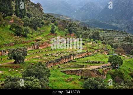 The Gymnasium at  ancient Delphi, the 'navel'  and most important oracle of the ancient world, Fokida, Central Greece. Stock Photo