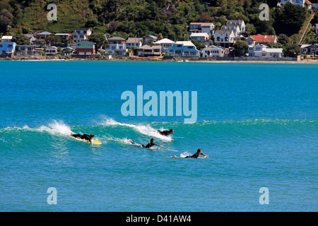 number one shoes lyall bay hours